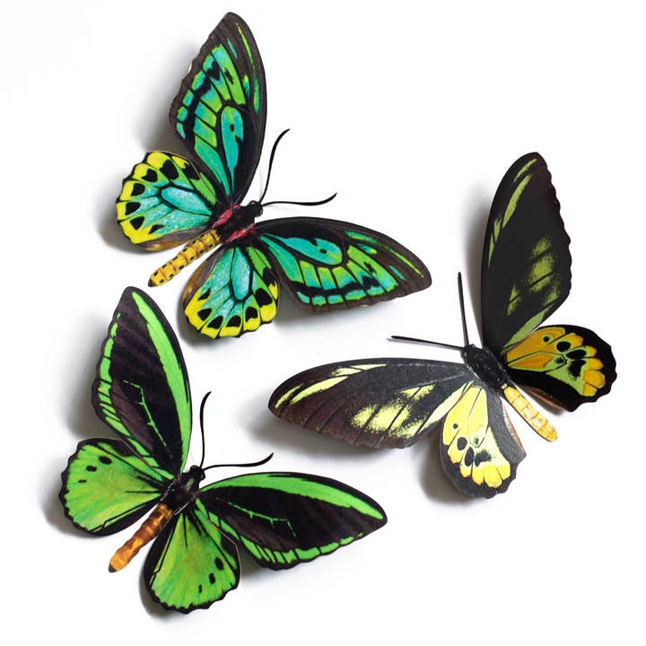 'Skyward' Birdwing Butterfly Set for wholesale by Moth and Myth