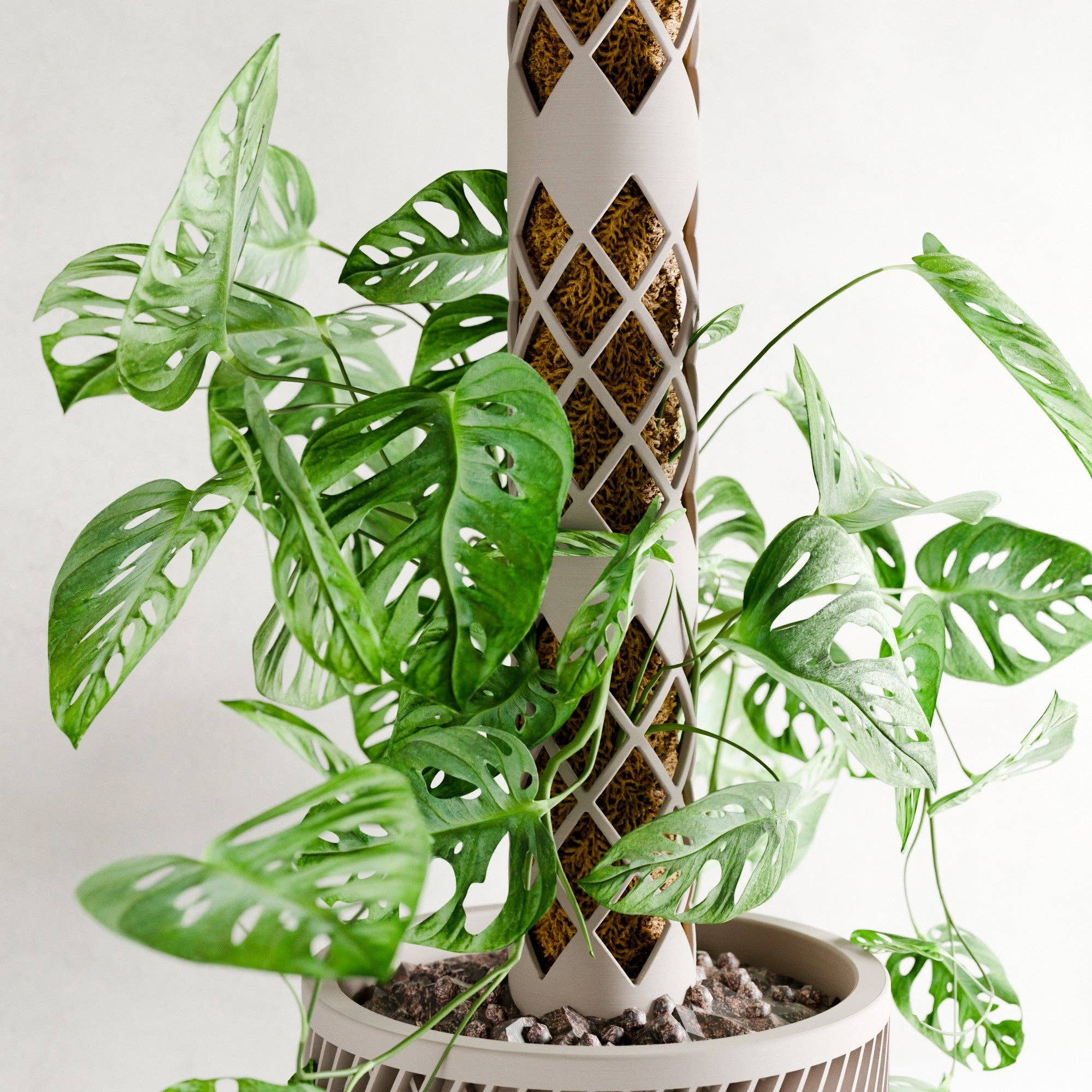Modernized Pottery - Wholesale Trellis - Moss Pole MODULAR6