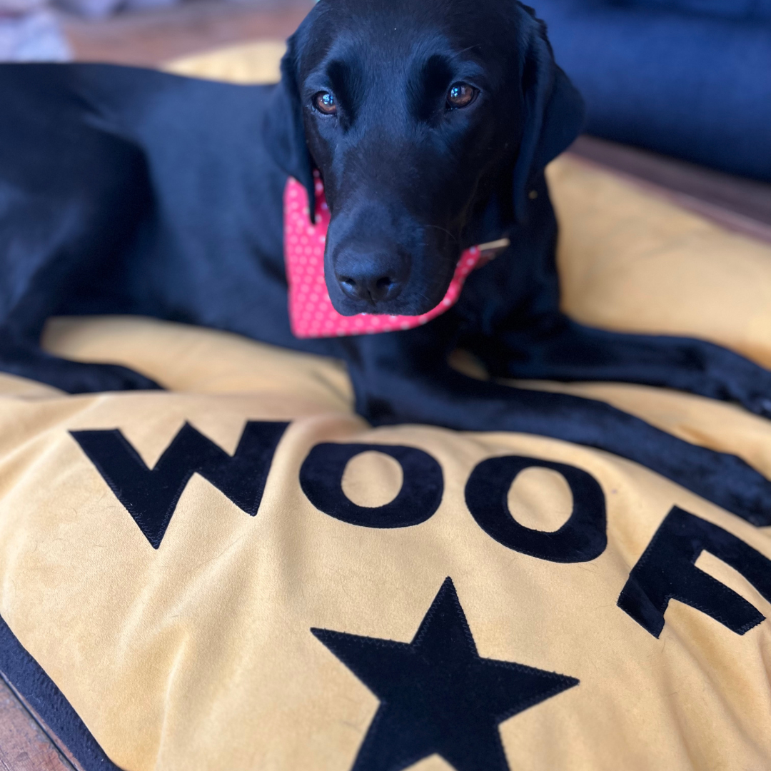 Creature Clothes - Wholesale Pet Bed - Dog - Dog bed in mustard velvet with black WOOF letters and star detail9