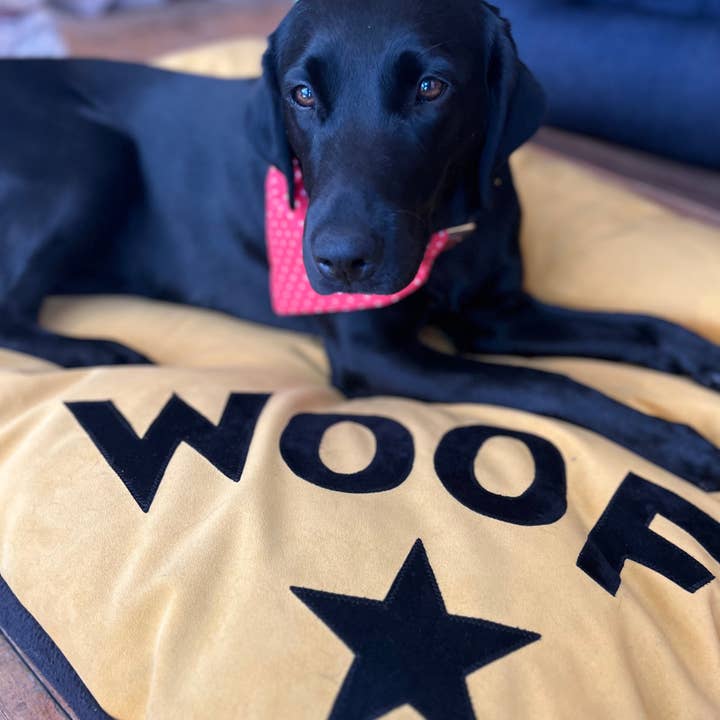 Creature Clothes - Wholesale Bed voor huisdieren - Hond - Hondenbed in mosterdkleurig fluweel met zwarte WOOF-letters en sterdetail9