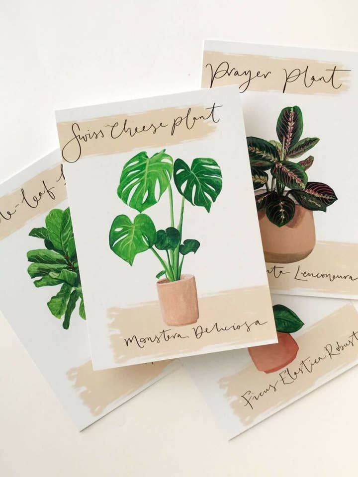 Monstera House Plant Postcard for wholesale by Sunshine for Breakfast
