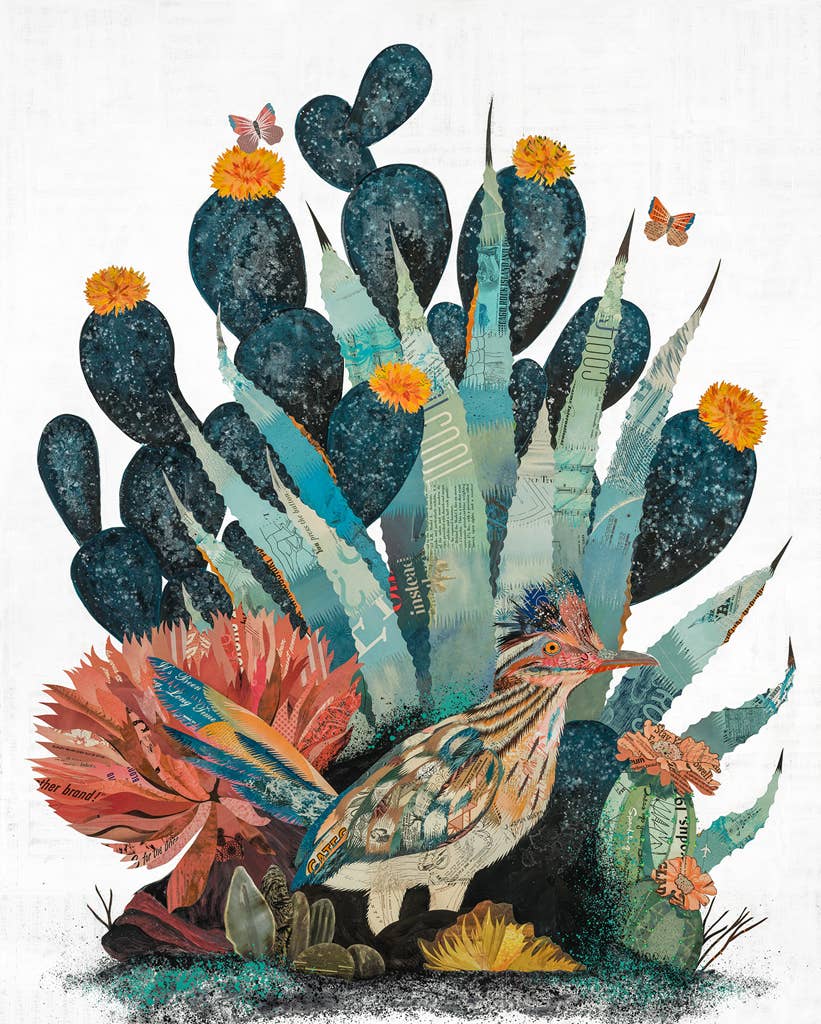Dolan Geiman - Wholesale Art Print - Art Print | Cactus Wall Art| BAJA BACKCOUNTRY (ROADRUNNER)0