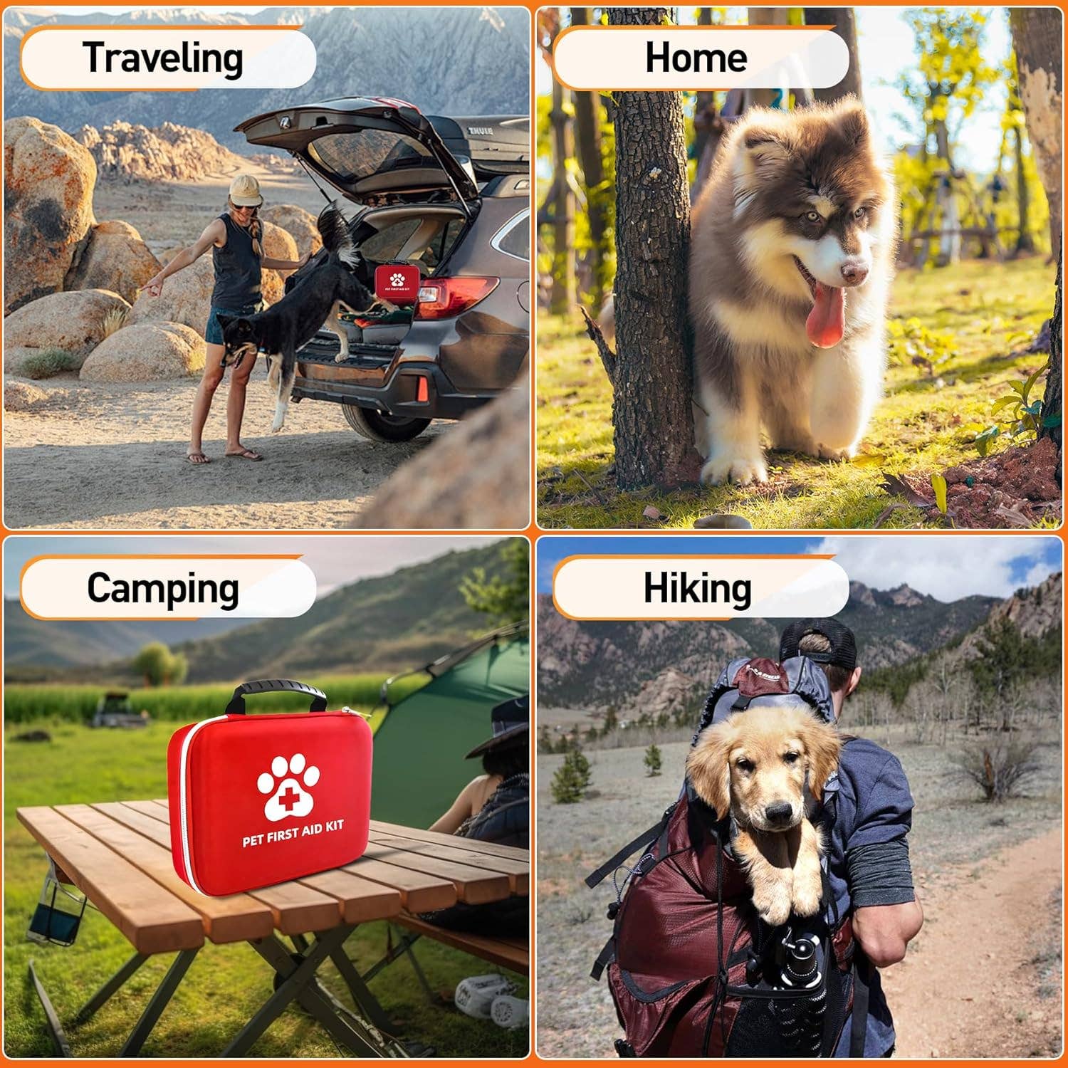 VIGOR - Vendita all'ingrosso Kit di pronto soccorso - Kit di primo soccorso per cani: l’essenziale di emergenza per il tuo migliore amico4