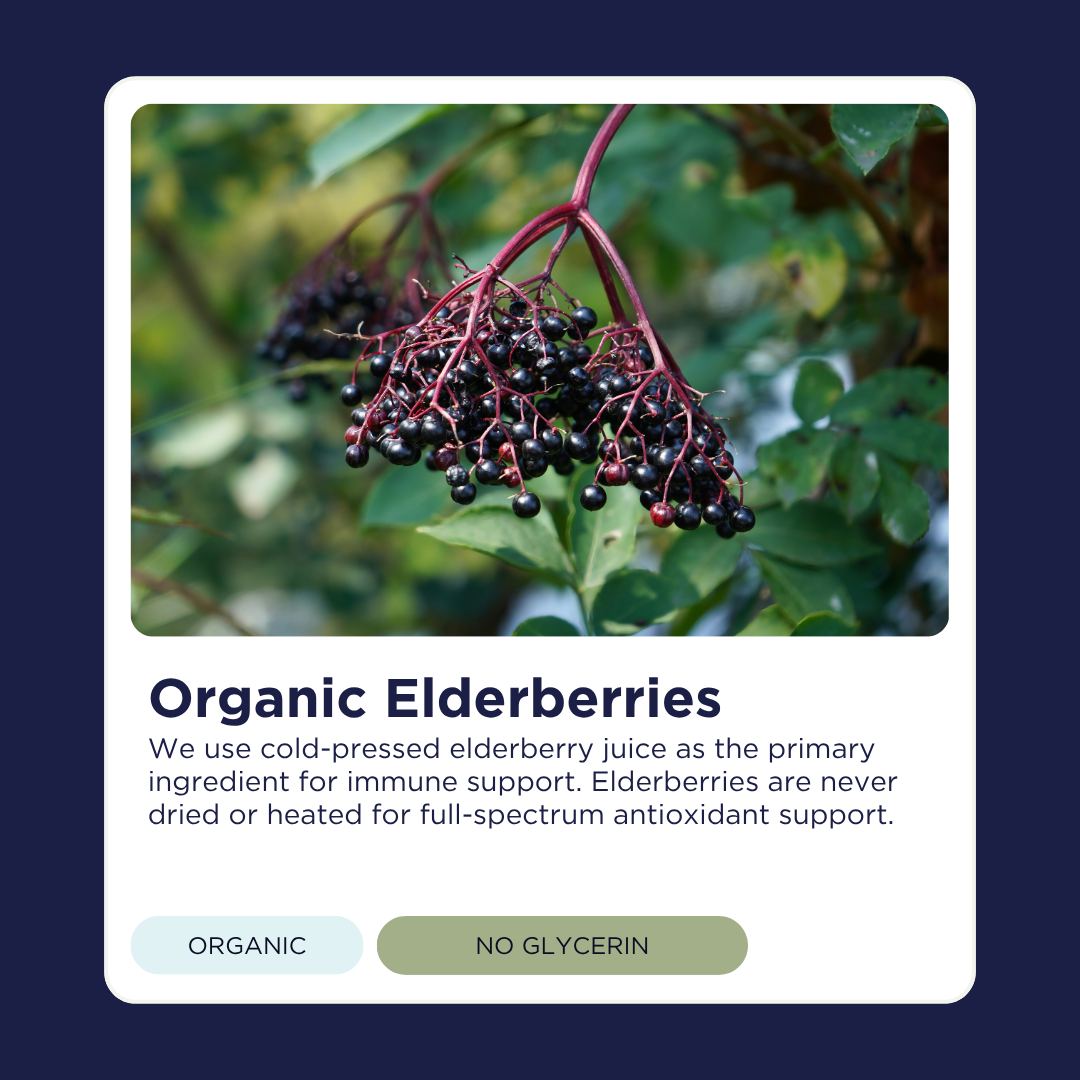 Harvest Farmacy - Wholesale Oral Supplement/Vitamin - Immune Support Elderberry Wellness Drops8