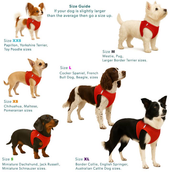 Miro & Makauri – wholesale Pet harness – Dog – Step-in Air Mesh Dog Harness (8 Colours).11