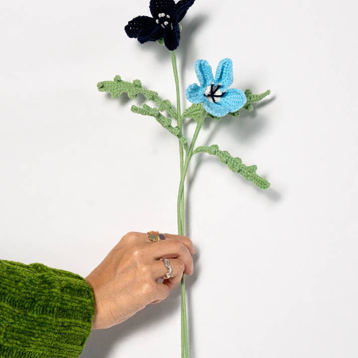 Baby Blue Eye for wholesale by The Way to You Canada