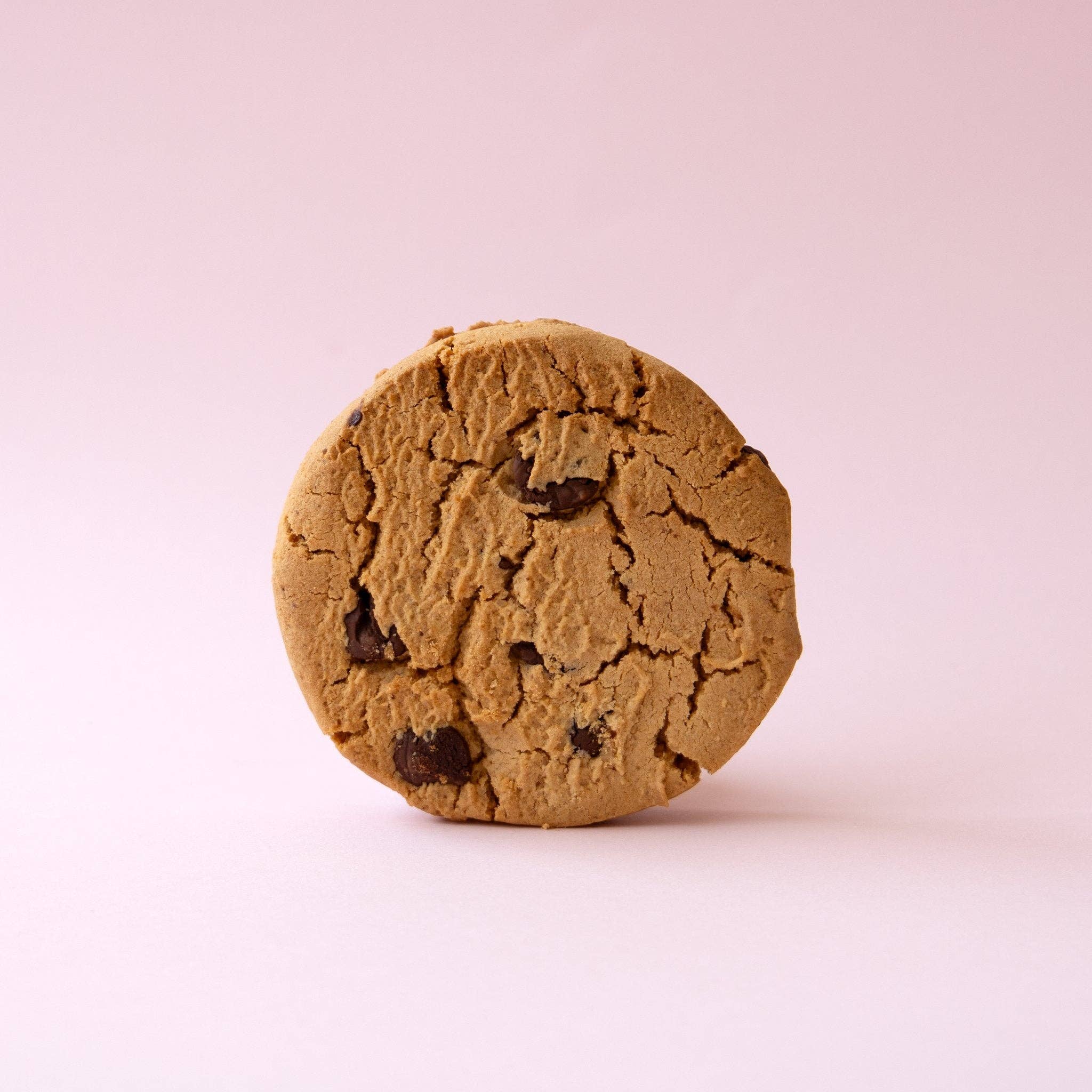 Crumble Charms - Wholesale Biscuit - Salted Chocolate Chip Cookie (6 Pack)