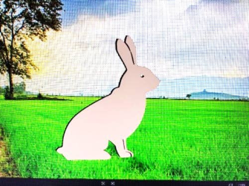 DCentral Magnetics - Wholesale Magnet - DCentral® Rabbit Flexible Vinyl Safety Screen Magnet 0