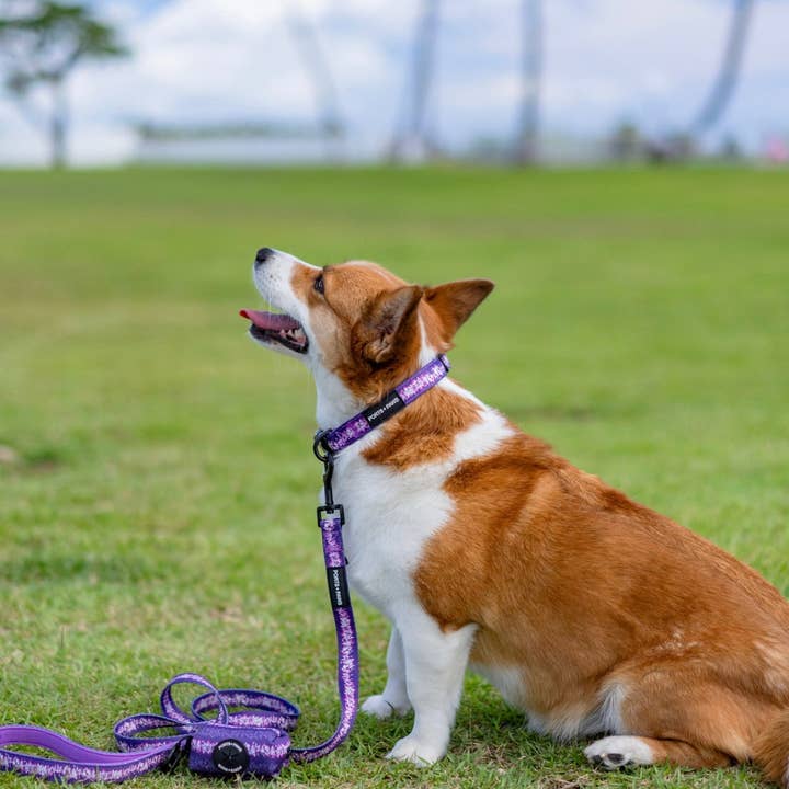 Ports and Paws - Wholesale Pet Poop Bag Dispenser - POOP BAG HOLDER - ORCHID