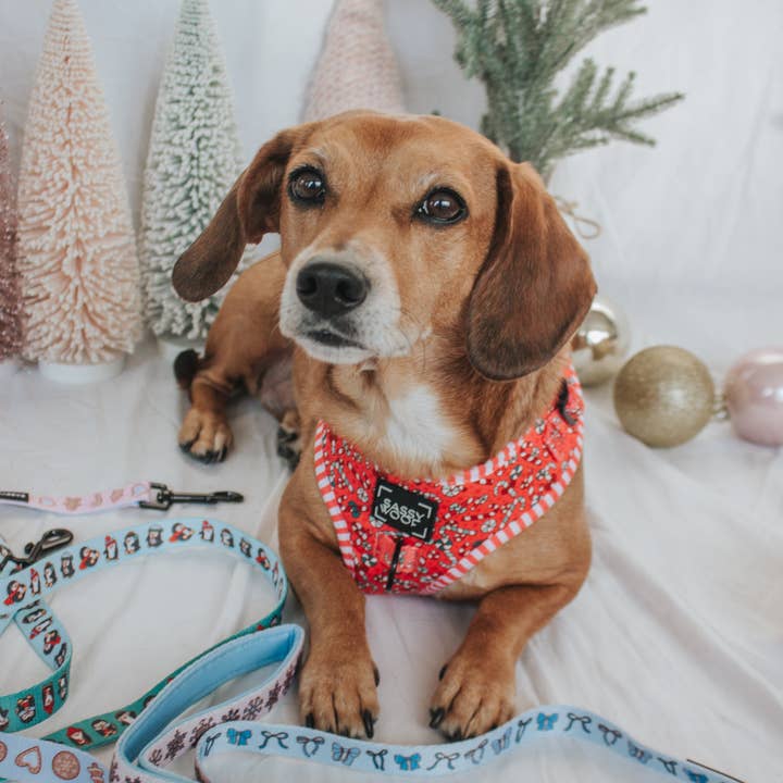 SASSY WOOF - Wholesale Pet Harness - Dog - Dog Adjustable Harness - Puppermint Twist6