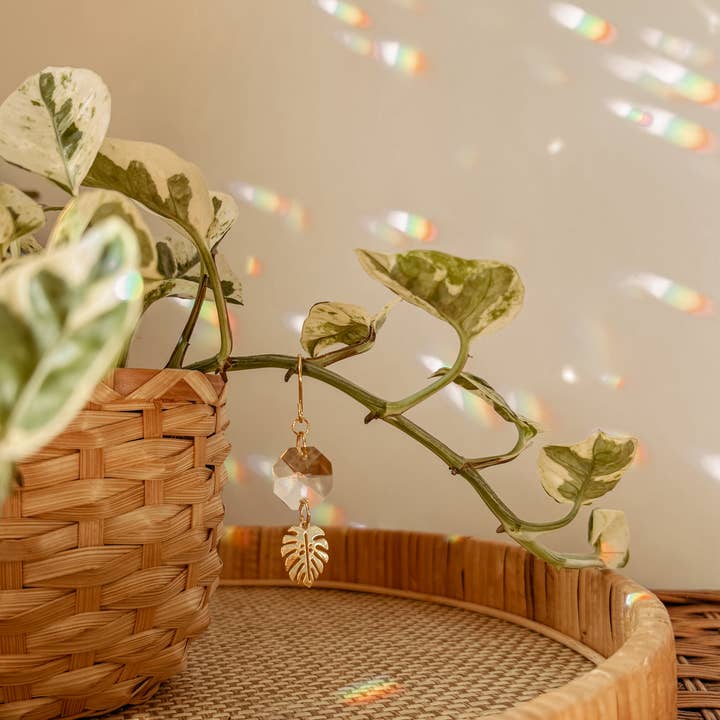 Meraki The Studio Co. – Suncatcher por atacado – Encanto de Planta | Apanhador de Sol + Folha de Monstera | Acessório de Vinha