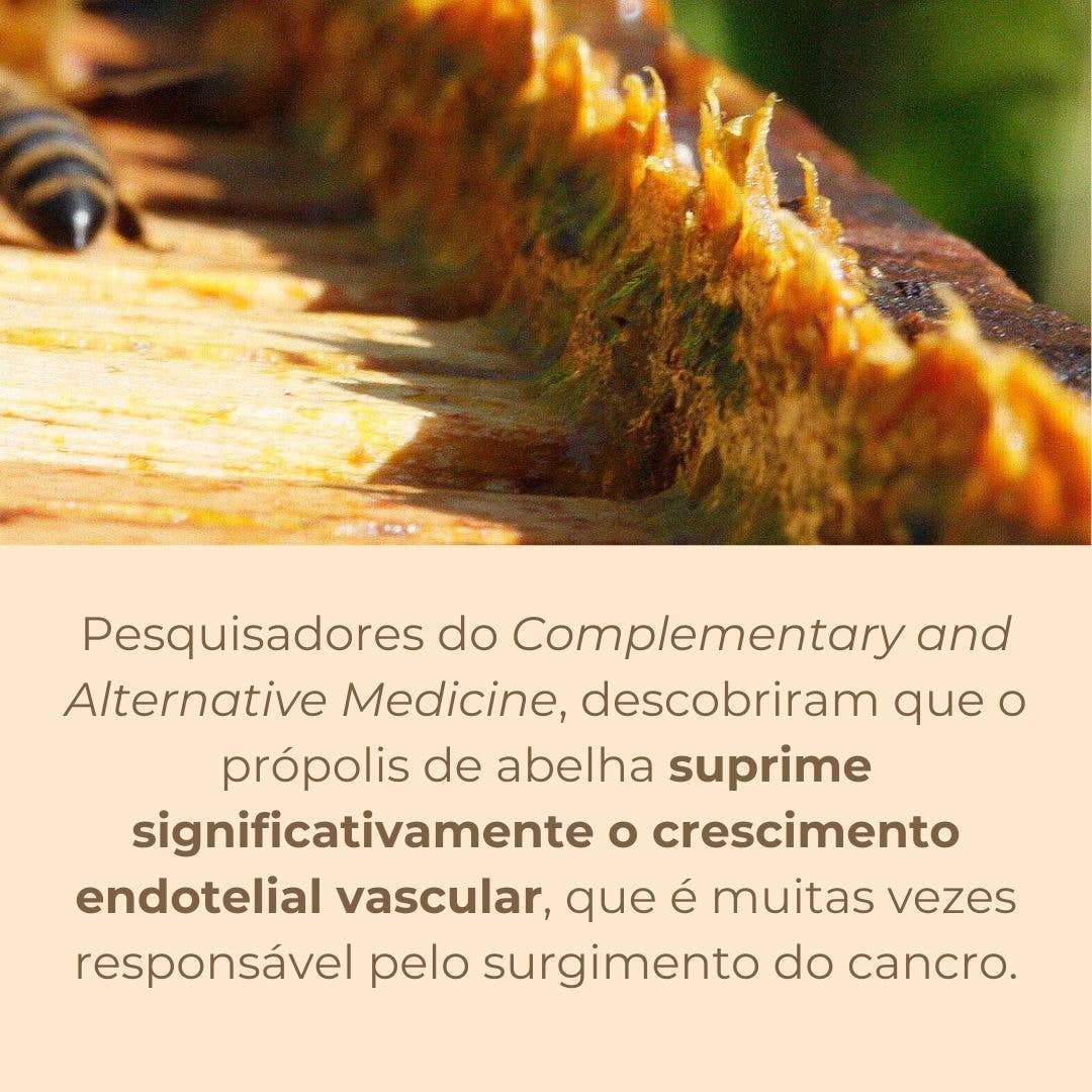 Beesweet - Wholesale Honey - Pure propolis - 20gr4