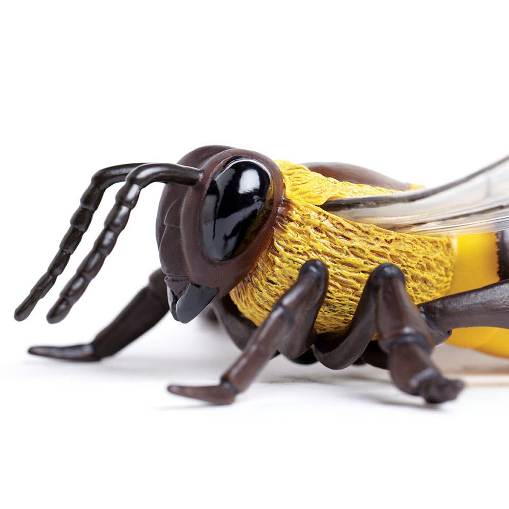 Safari Ltd. - Wholesale Decorative Figurine - Honey Bee - 2682291