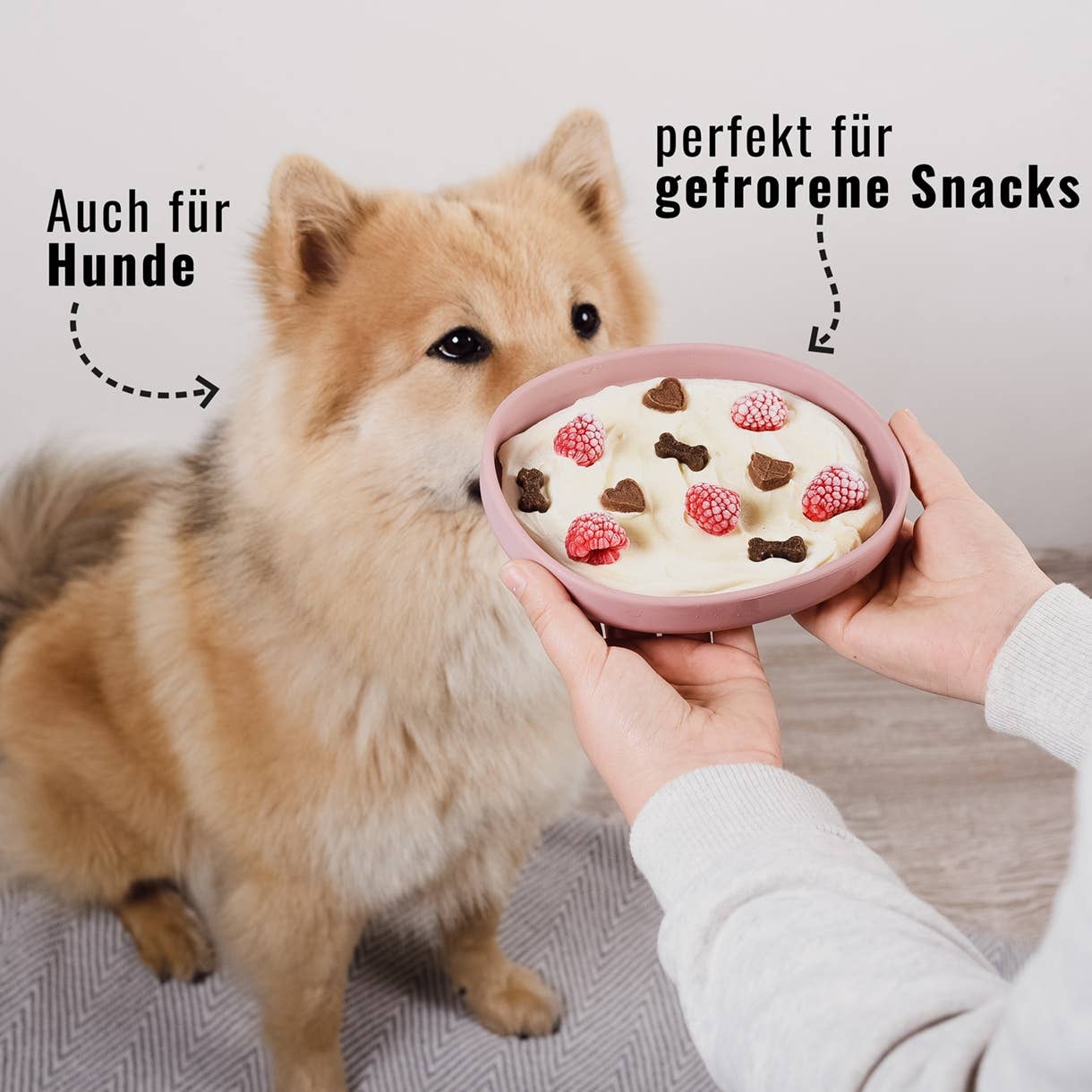 ne&no - Wholesale Pet Bowl - Cat/Dog - ne&no® Cat Silicone Feeding Bowl: whisker-friendly17