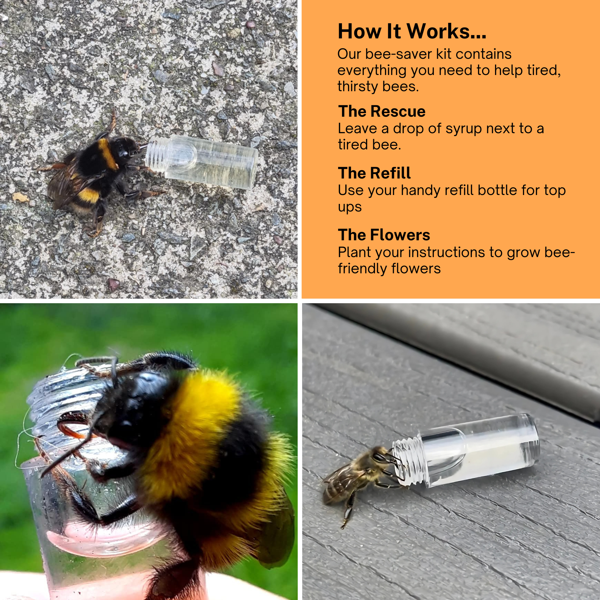 Revive a Bee - Venta al por mayor Llavero - Unisex - Llavero Kit de Rescate de Abejas de Emergencia en Papel Semilla Plantable9