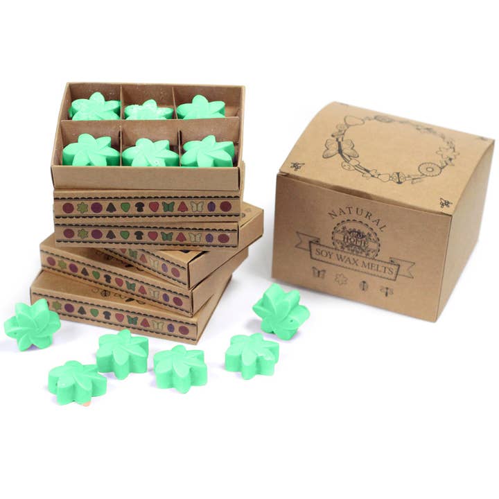 packs Wax Melts - Hidden Garden for wholesale by Ancient Wisdom
