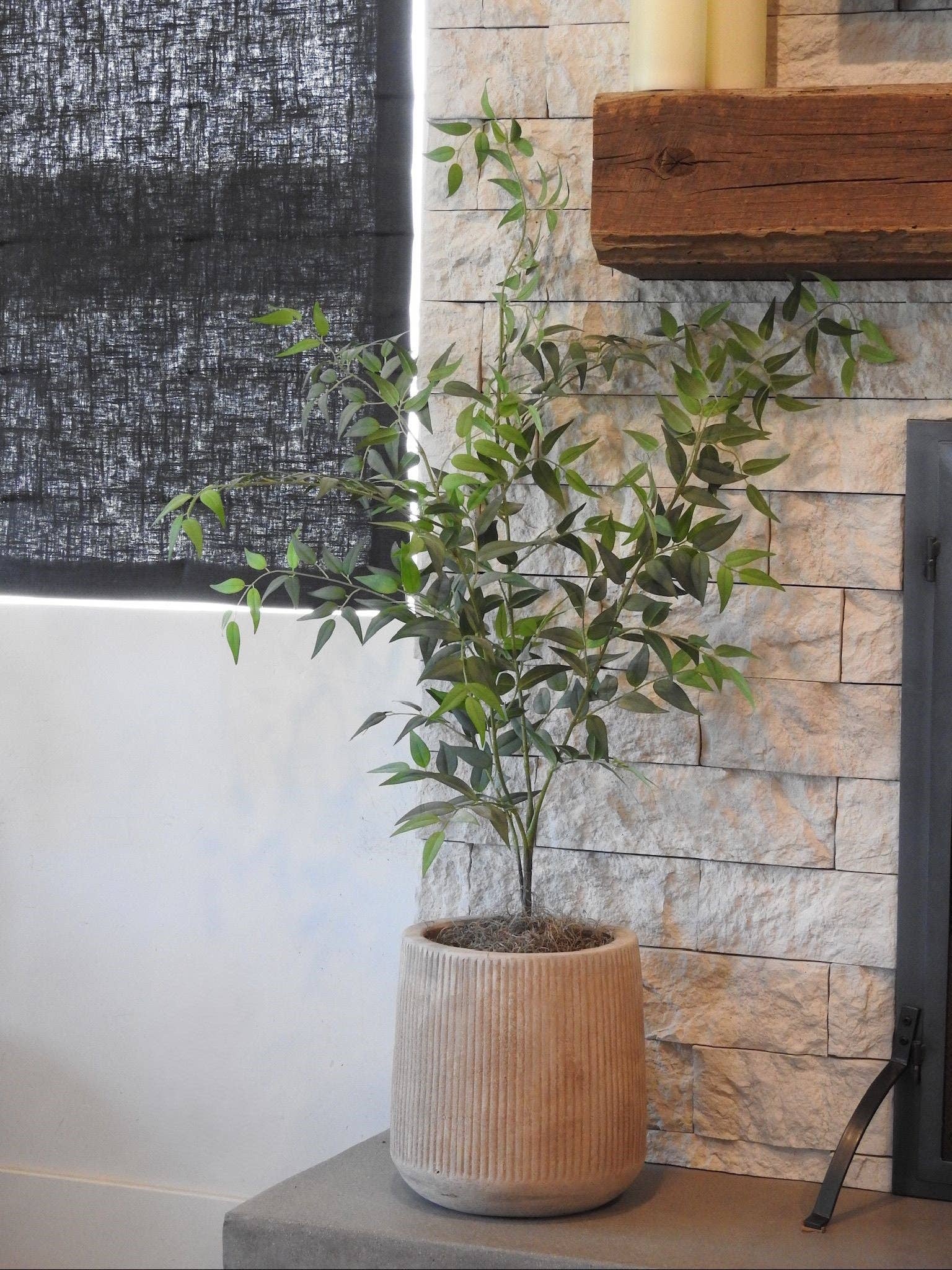 Kaden Terracotta Planter     CN1308 for wholesale on Faire1