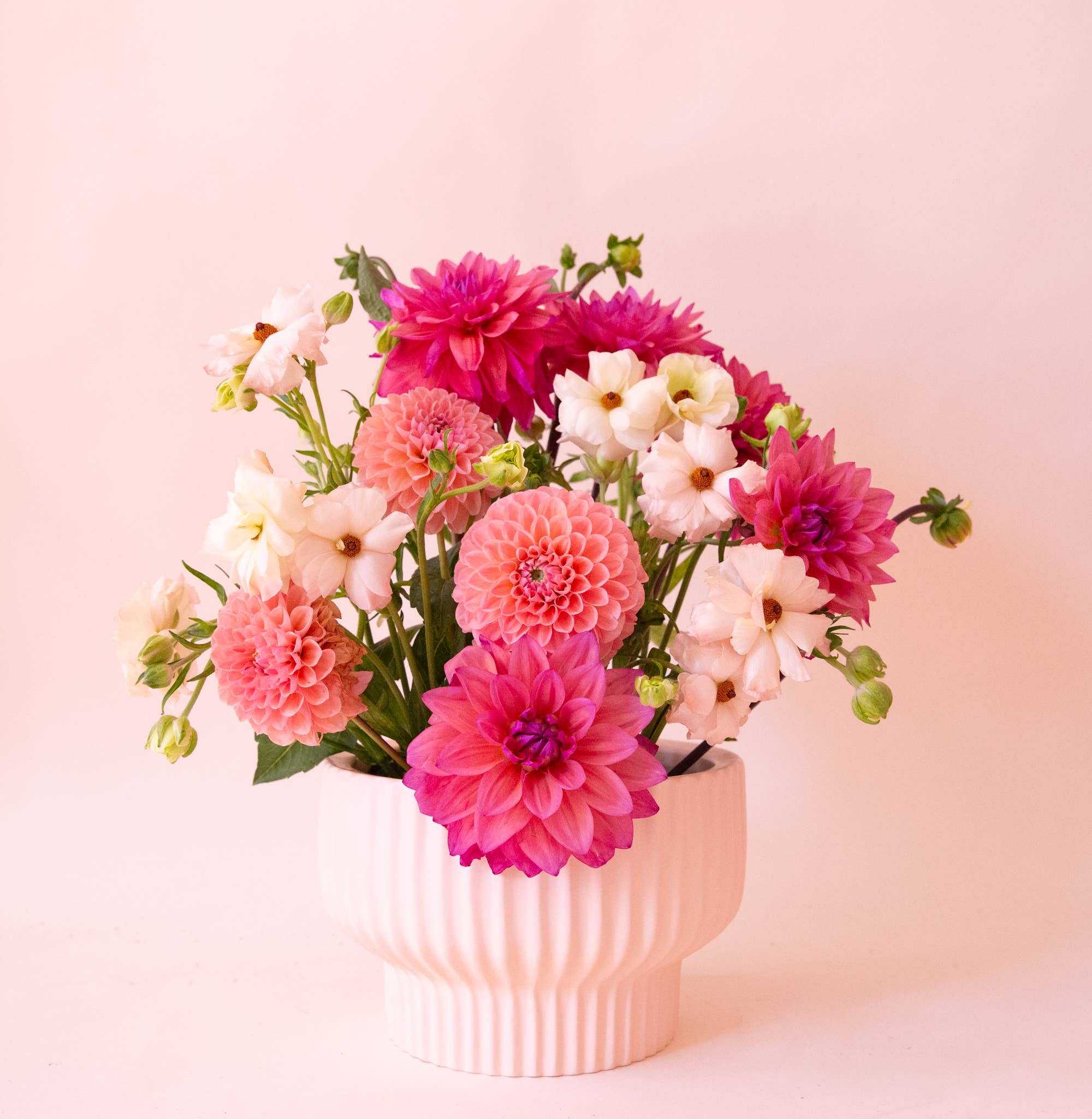 Jungle Club - Wholesale Plant Pot - Presley Pedestal Vase | Ballerina