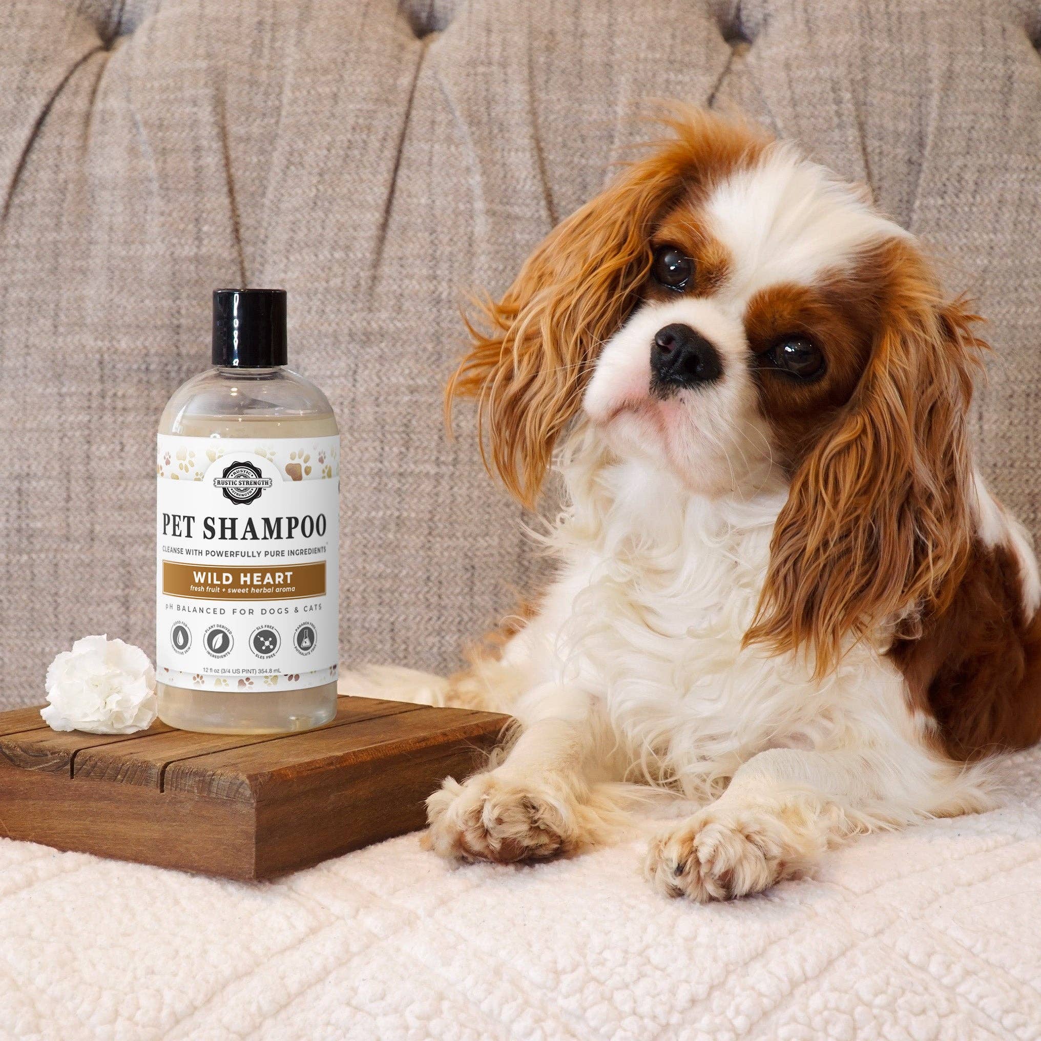 Rustic Strength - Vente Shampoing – chien - Shampooing pour animaux | Apaisant & Désodorisant7