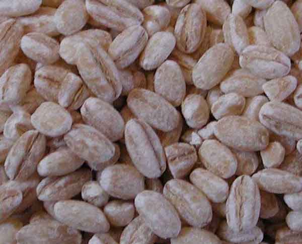 Hudson Meat Company - Wholesale Nuts - BARLEY PEARL - BULK PACK