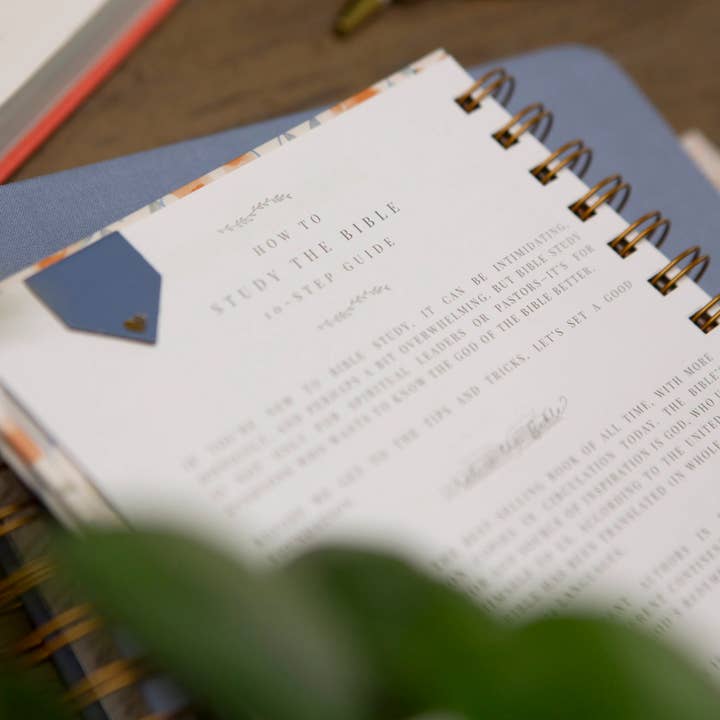 Chosen & Cherished - Wholesale Journal/Diary - Verse Mapping Bible Study Journal | Christian Journal6