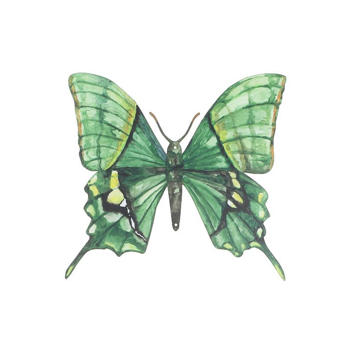 Metal Butterfly Wall Decor Green for wholesale by IH Casa Decor