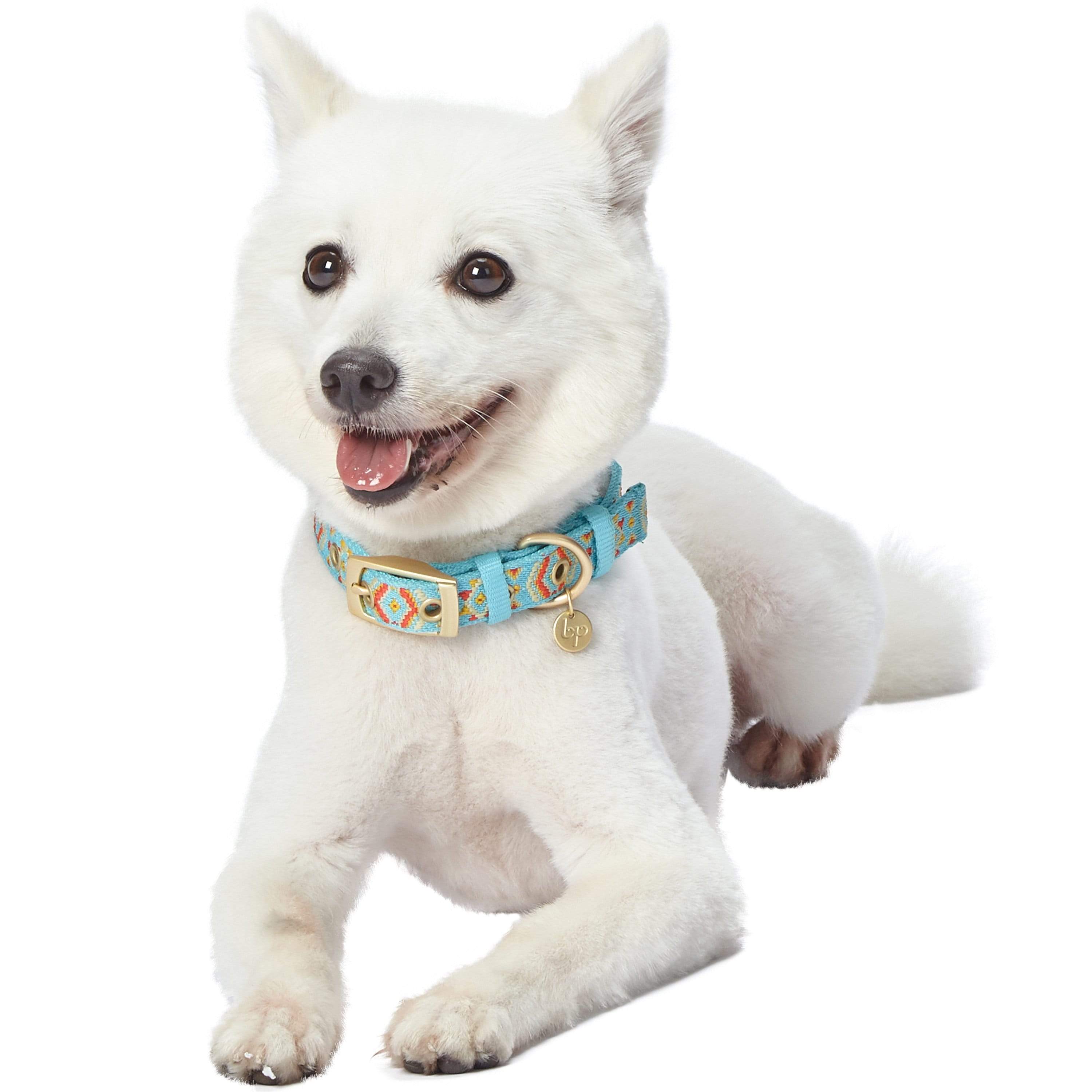 Blueberry Pet - Wholesale Pet Collar - Dog - Southwestern Pattern Polyester Webbing Dog Collar11