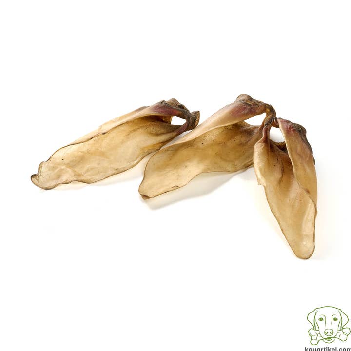 Orecchie al polpaccio taglia M con base e ulteriori Risultati per latte vitelli all'ingrosso. Resi gratuiti e termini di pagamento a 60 giorni su Faire in tendenza su Faire.