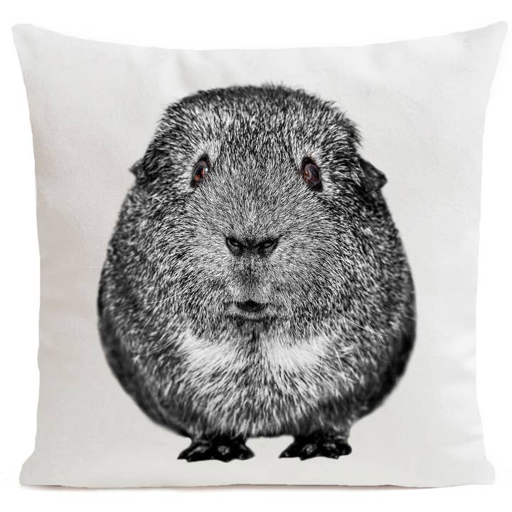 Cuscino Quenotte per la vendita all'ingrosso da parte di Artpilo