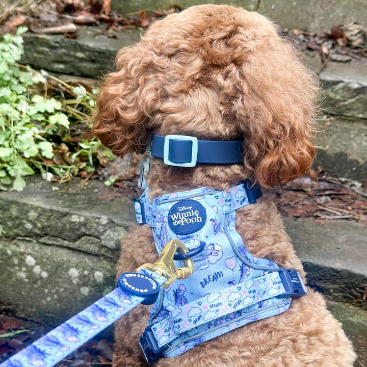 Pawsome Paws - Vendita all'ingrosso Pettorina - Cani - Disney© Tough Trails™ Pettorina - Ih-Oh11