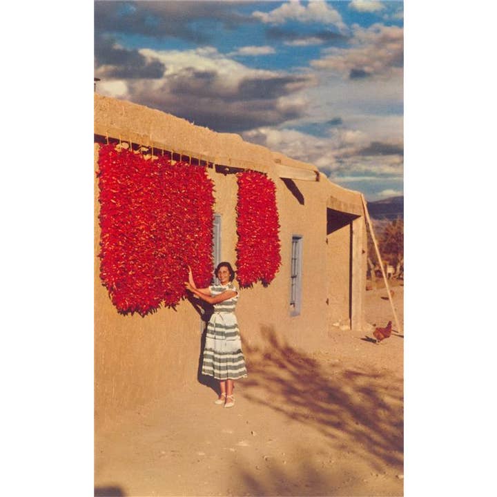 Found Image Press - Vendita all'ingrosso Calamite - Magnete NM-360 Donna con Ristras