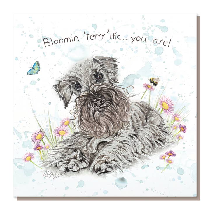 RBD001 - Toller Terrier für den Großhandel von Sweet Design