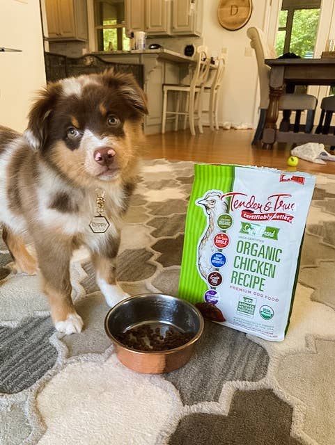 Tender & True Pet Nutrition - Vente Nourriture – chien - Nourriture sèche biologique pour chiens de petite race, recette de poulet et de foie, 4 lb.6