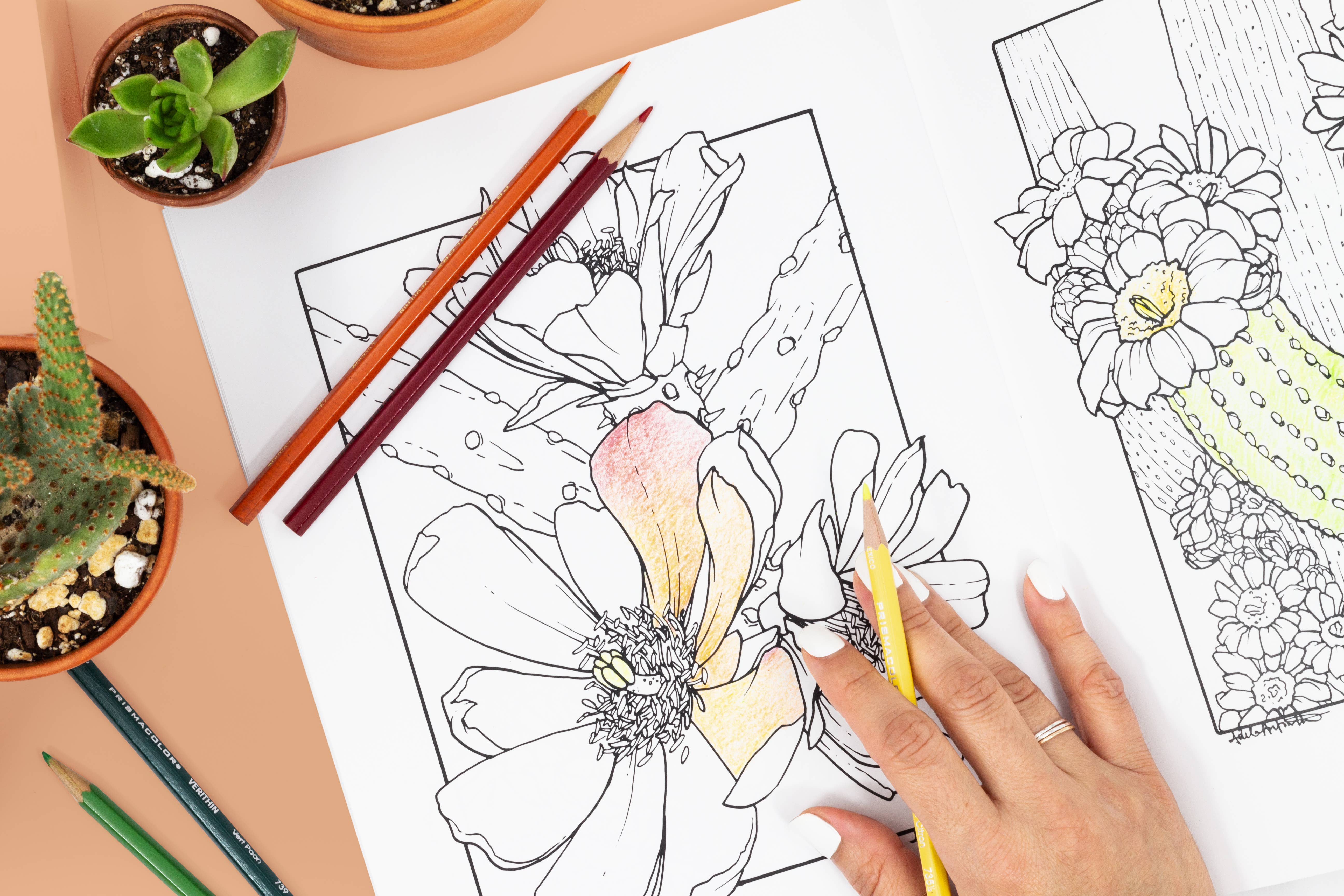 Cacti Oasis© - Wholesale Coloring & Activity Book - Adult - The Cacti Oasis© Coloring Book: Cacti & Succulents4