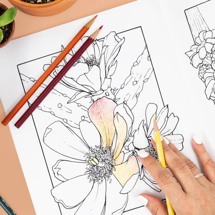 Cacti Oasis© - Wholesale Coloring & Activity Book - Adult - The Cacti Oasis© Coloring Book: Cacti & Succulents4