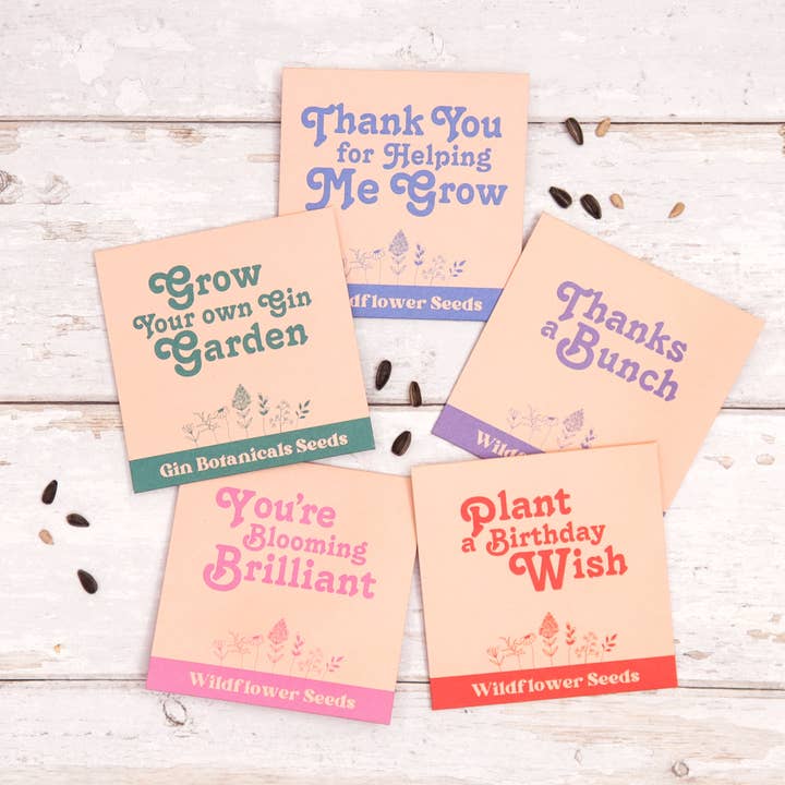 Occasion Wildflower Seeds (Bundle of 20 packets) for wholesale by Letterbox Gifts Ltd.