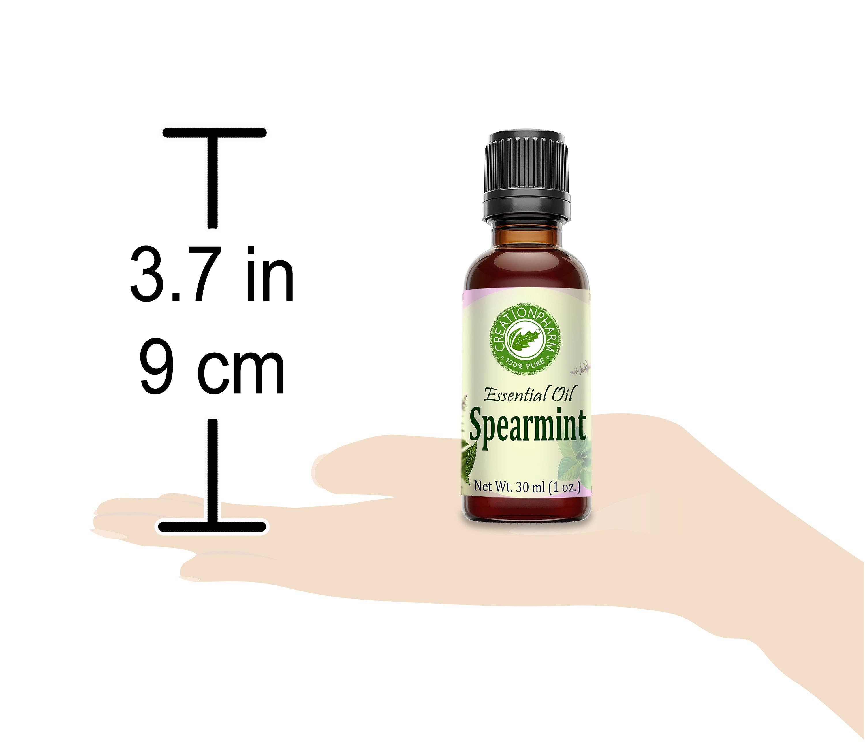 Creation Farm Inc – Großhandel Ätherisches Öl – Spearmint ätherisches Öl 100 Prozent reines Mentha Spicata dampfdestillierte Blätter und Stängel Creation Pharm6