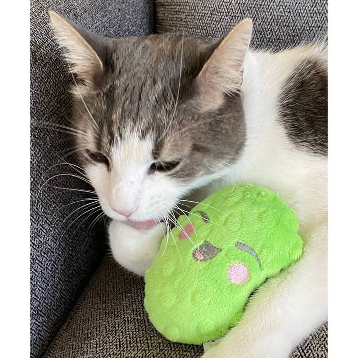Screaming Pickles - Wholesale Pet Squeaky Toy - Dog - Handmade Pet Toys - Catnip/Dog Squeaker Mini Pickle