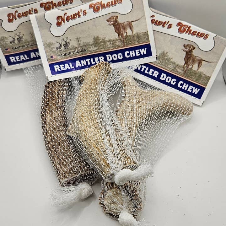 Large Whole Antler with Tag for wholesale by Blue's Colorado