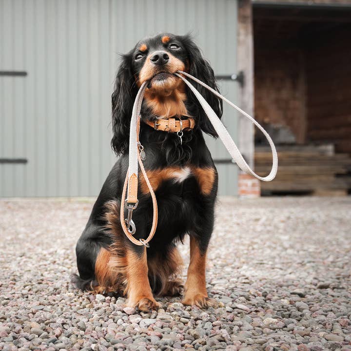 Essentials Twith Cão Cão em Linho por atacado de Lords and Labradors