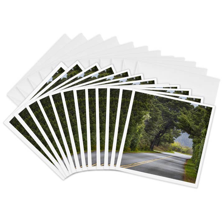 3dRose, USA, Oregon, Bullards Beach SP. Tree arch over road, Greeting Card for wholesale by 3dRose