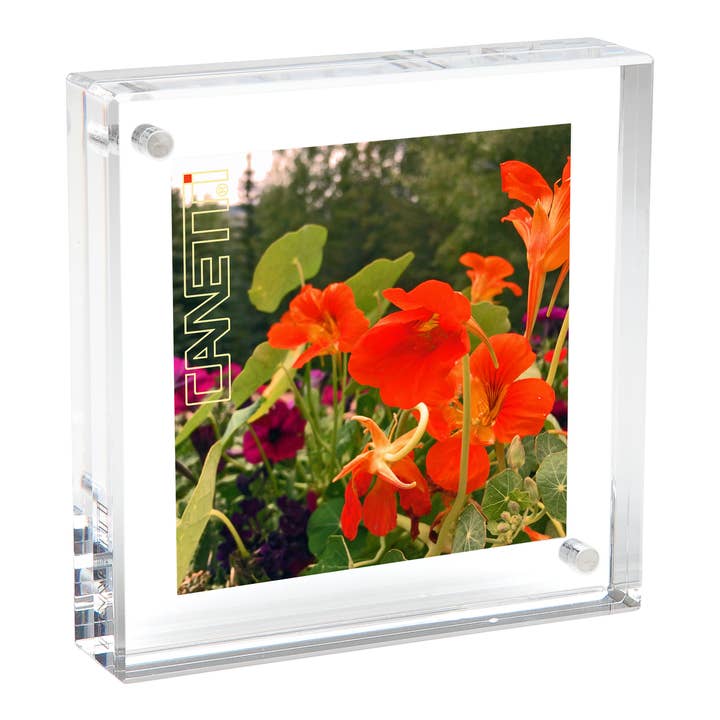 Canetti Design Group Inc. - Wholesale Picture Frame - Original Magnet Frame