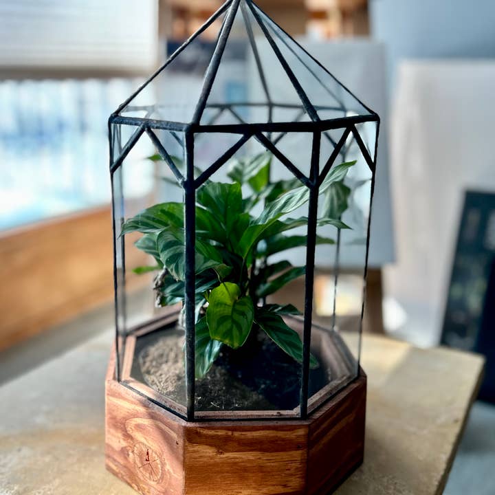 Leadhead Glass - Wholesale Terrarium - Gazebo Handmade Stained Glass Terrarium
