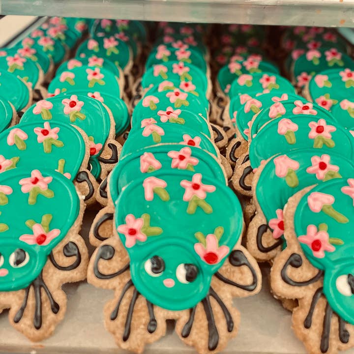 Lucky Biscuit Pet Bakery - Wholesale Pet Treats - Dog - Freshly Picked Spring Collection
