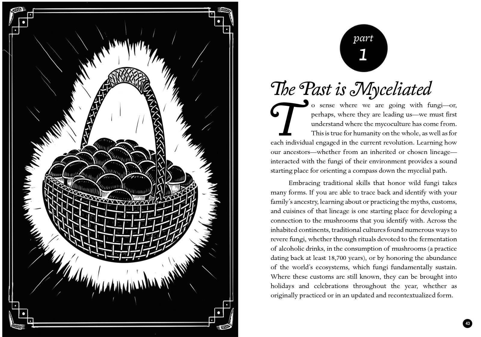 Microcosm Publishing & Distribution – wholesale Natur- och friluftsbok – Mykokulturell revolution: Att förändra vår värld med svampar1