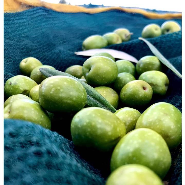 Don Vito Eccellenze Siciliane - Wholesale Olijfolie - Extra vierge olijfolie2