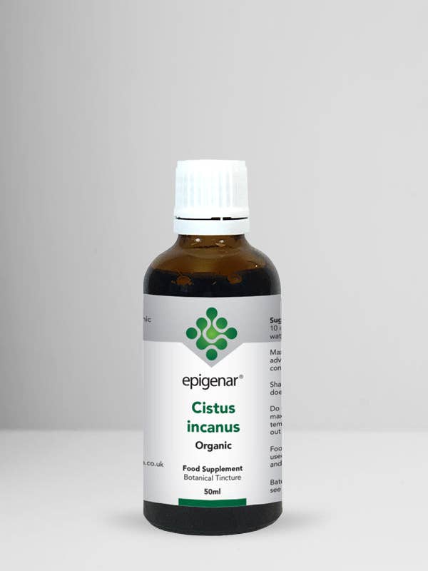 Epigenar Cistus Incanus Organic for wholesale by Rio Health Products
