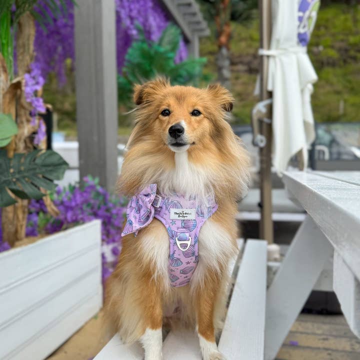 The Paw Print Boutique - Wholesale Pet Harness - Dog - Mermaids Tails Adventure Paws Harness12