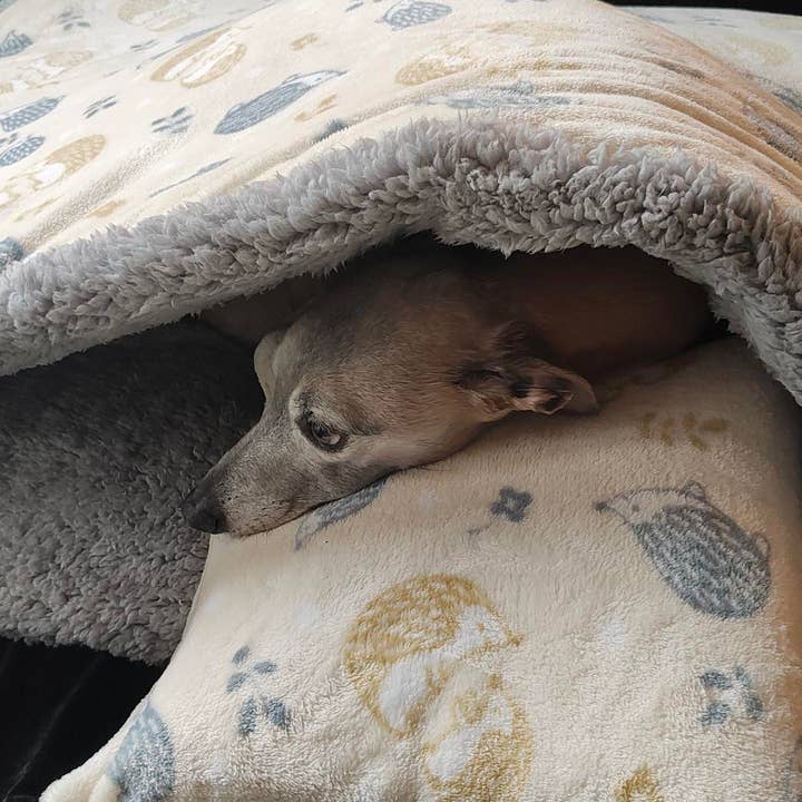 Snuggle Wrap Dog Bed for wholesale by Forest Fleece Ltd