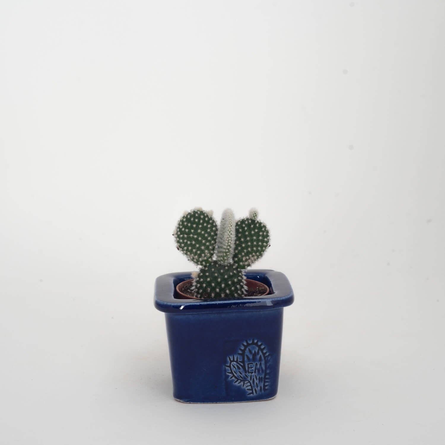 Vasos Quadrados by EM – Vaso de plantas por atacado – VASO QUADRADO MINI 6x6 - BRILHO6